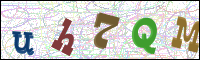 Image Verification