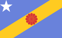 Flag of Banco Grande Province
