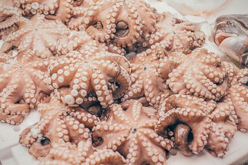 Octopuses being sold at Zlento Bazaar
