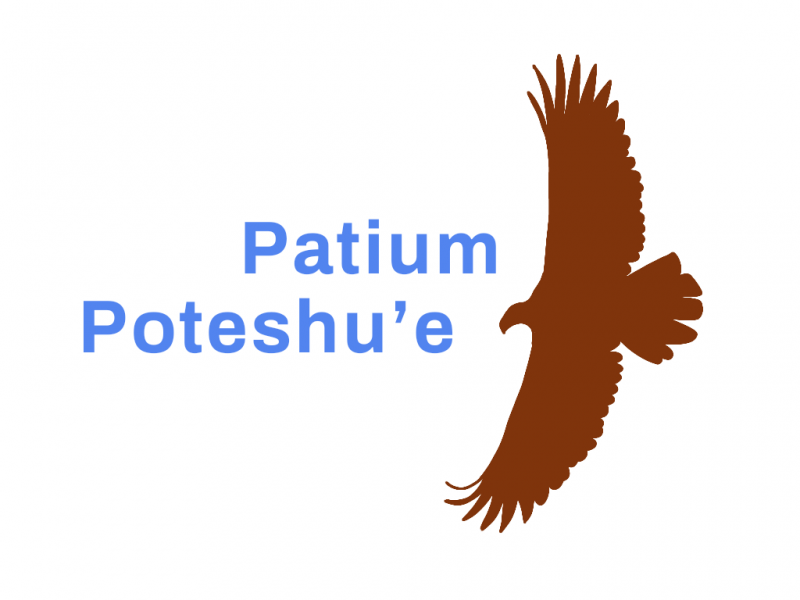 File:Progress party logo.png