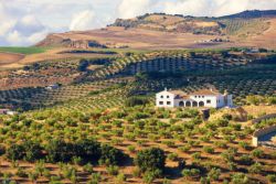 A farm in rural Lematre