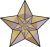 This star symbolizes the featured content on IDUwiki.